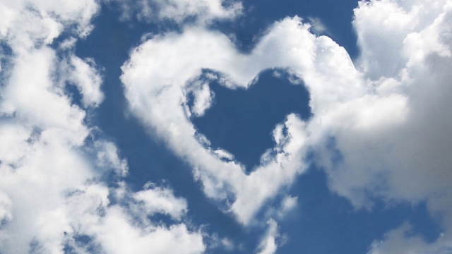 �����ʦ������